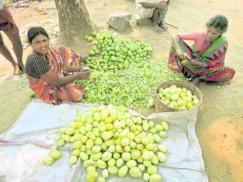 ఆమ్‌చూర్‌ ఆశలు ఆవిరి