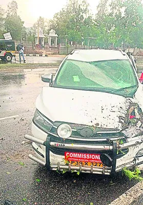 చిత్త