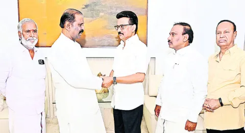 డెల్ట