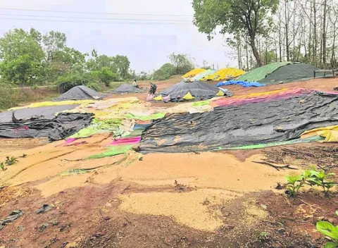 అకాల 