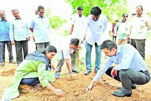 మొక్కలు సంరక్షించాలి 
