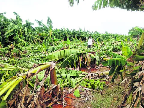 ఈదురు గాలులతో భారీ వర్షం