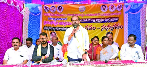 ఎద్దు