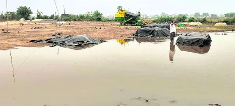 అకాల 
