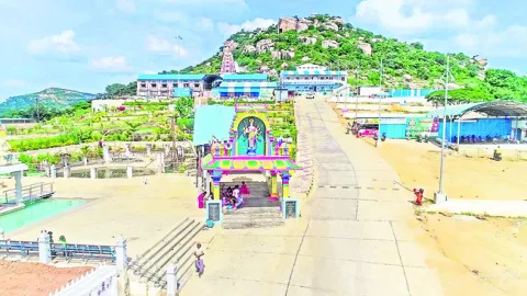 పొట్టేళ్ల చర్మాన్నీ తినేశారు!