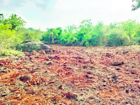 కష్టప