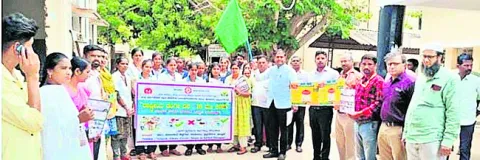 డెంగీ