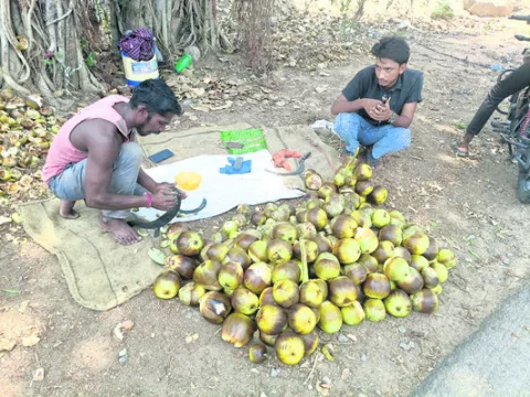 ఔషధ గ