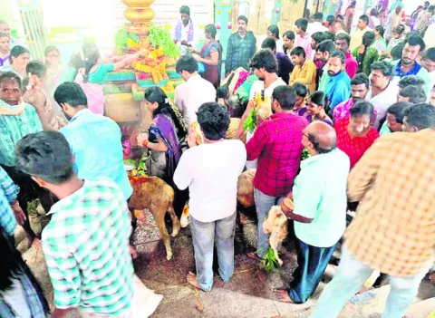 పెద్ద