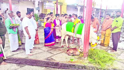వాయుప