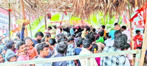 గుబ్బ