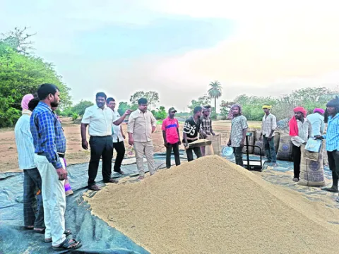 ధాన్యం కొనుగోళ్లను వేగవంతం చేయాలి