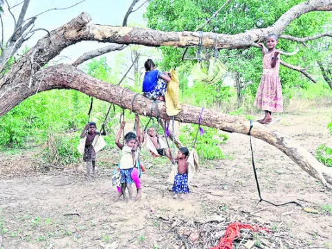 ● ప్రకృతి ఒడిలో వేసవి సంబురం