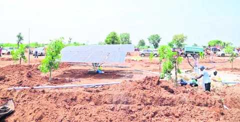 పోడు భూములకు మహర్దశ 