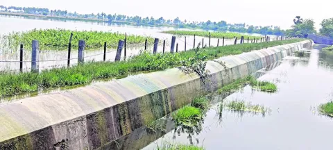 మండువేసవిలో నిండుగా జలం