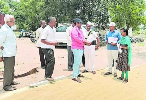 రైతులు ఇబ్బంది పడొద్దు