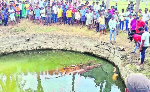 కిడ్న