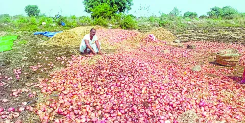 అకాల వర్షంతో తడిసిన ఉల్లి
