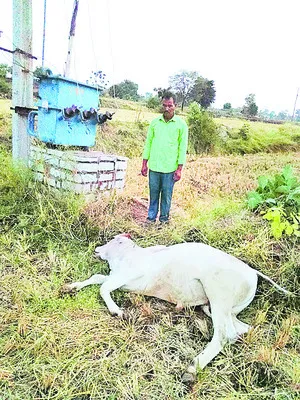 విద్య