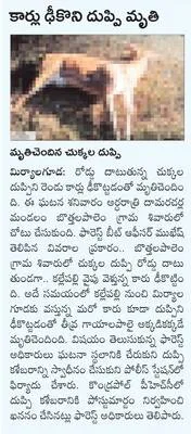 పెద్ద