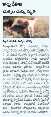 పెద్ద