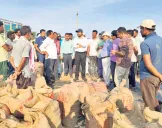 ధాన్యాన్ని వెంటవెంటనే తరలించాలి