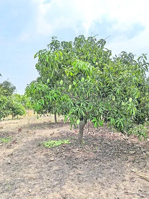 ‘ఉపాధ
