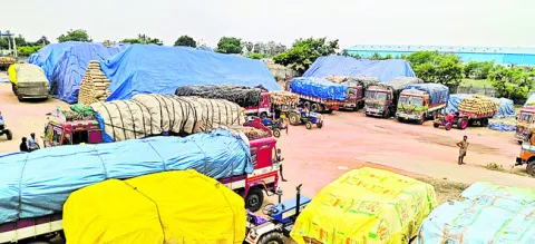 ధాన్య