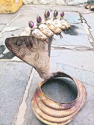 పత్తి కట్టెల కింద నాగాభరణం 