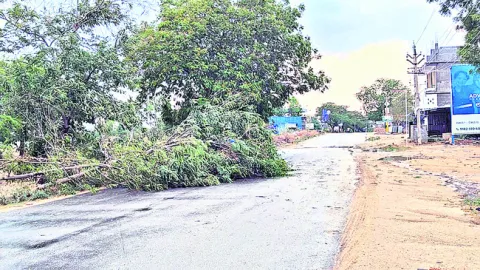 అకాల 