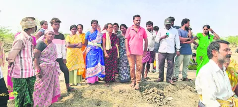 ఫీల్డ