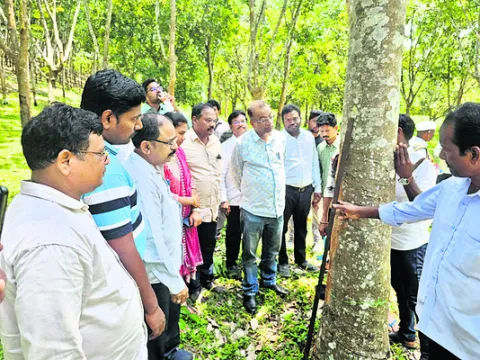 రబ్బరు రైతులకు ఆర్థిక ఆసరా