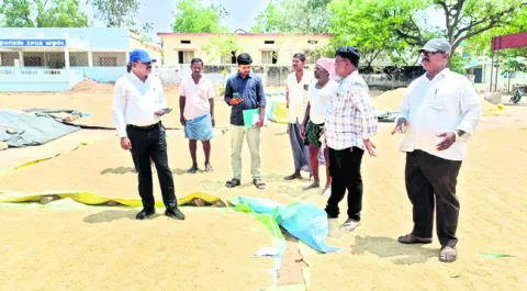 దొడ్డు వడ్లను విధిగా తీసుకోవాలి 