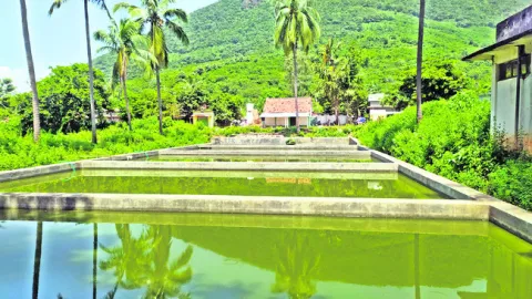 నష్టా