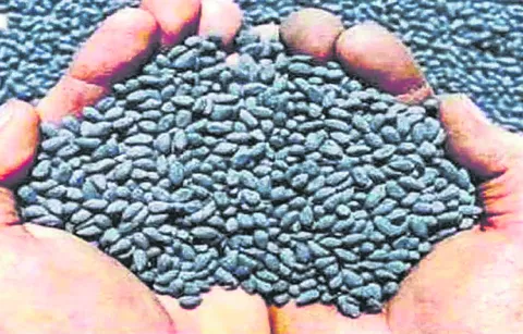 Task force to curb fake cotton seeds