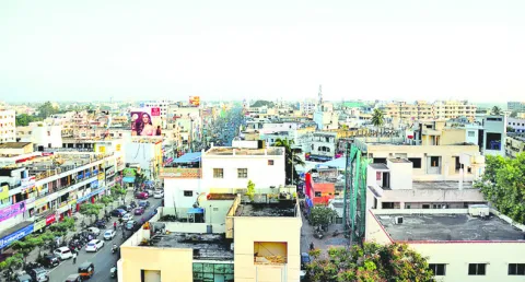 గుల్జ