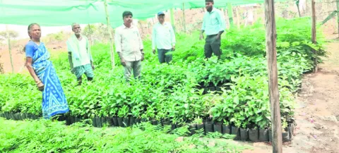 లక్ష్
