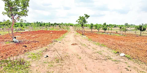 కబ్జా చెరలో 786 ఎకరాలు