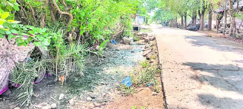 కంపుక