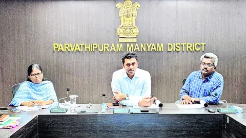 ఎంఎస్‌ఎంఈ పార్కుల ఏర్పాటుకు ప్రత్యేక శ్రద్ధ 