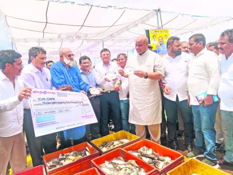 కృత్రిమ ఆవాసాలు, సీ వీడ్‌కు మంచి గిరాకీ 