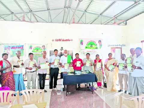 పంటల 
