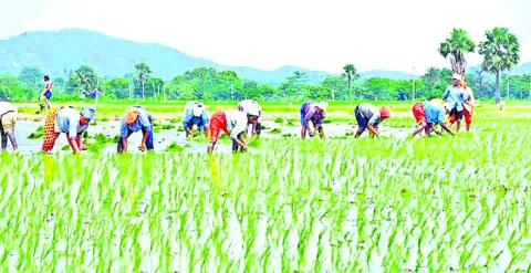 అన్నదాతలకు వ్యథ