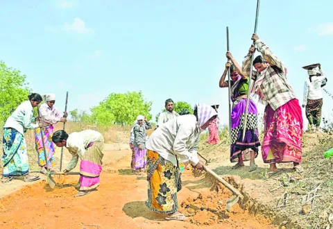 మారిన ఉపాధి ప్రాధాన్యత