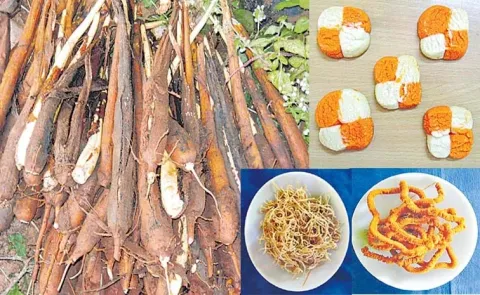 Dr. YSR Horticultural Research achieving good results in palm-based products