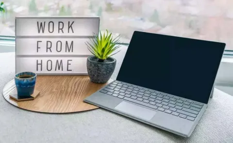 BJP MP in Karnataka Makes Work From Home Request To IT Companies3