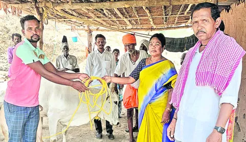 పసికందు పాల కోసం ఆవు విరాళం