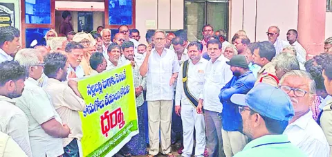 నల్ల బర్లీ పొగాకు కొనుగోలు చేయాలి 