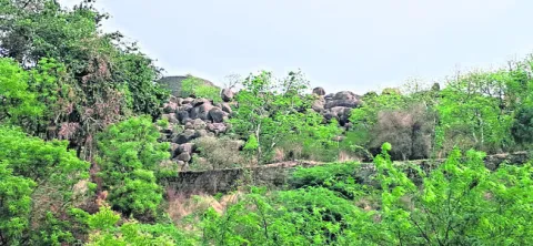 నిర్ల