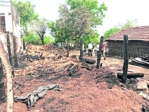 పశువుల పాకలు దగ్ధం